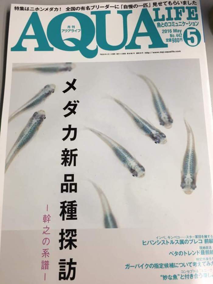 FB_IMG_1461178235998