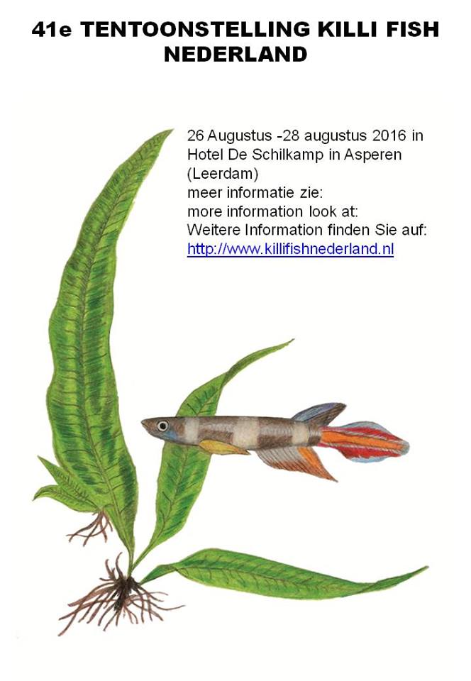 13533305_10206254122462929_56639135347431585_n