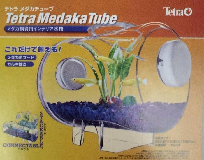 medaka-tube